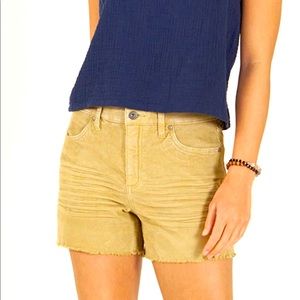 NWT title nine Carve designs 4 inch cutoff corduroy shorts